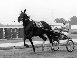 Bittersweet Hambo remembering Ron & Stanley Dancer